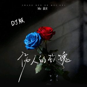 伤人玫瑰（DJ车载）