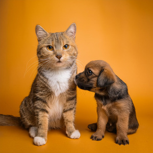 Un Abrazo Reconfortante