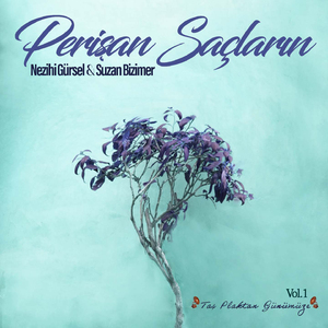 Perişan Saçların (Vol.1)