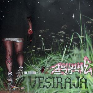 Vesiraja