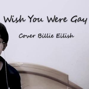 Wish You Were Gay