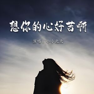 想你的心好苦啊