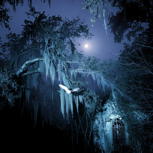 antidepressants (Slowed)