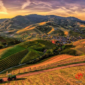 枯木（美容院放松纯音乐 疗愈轻音乐钢琴曲）