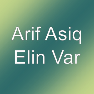 Elin Var