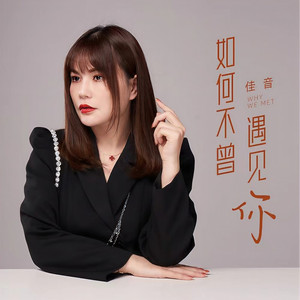 如何不曾遇见你