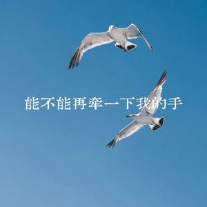能不能再牵一下我的手