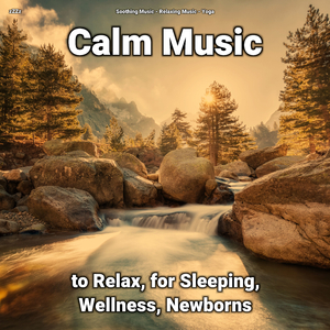Calm Music Pt. 12