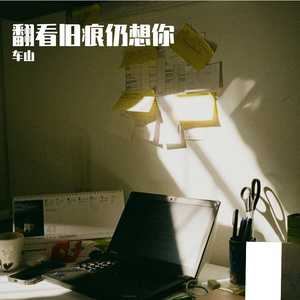 翻看旧痕仍想你