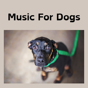 Music For Dogs Peace