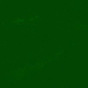 i befriended a plant !!!