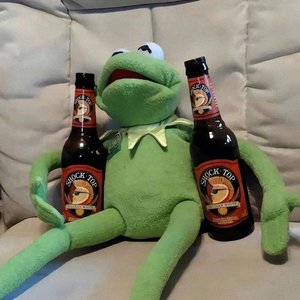 可惜没如果_北极星小姐姐