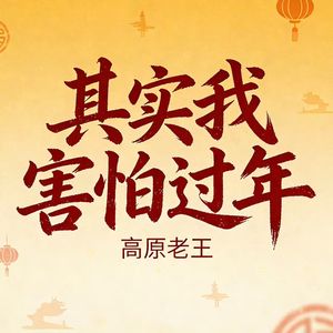 其实我害怕过年