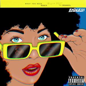 What You Need (feat. Brandel)