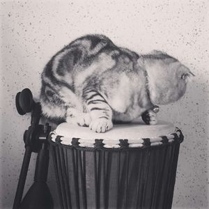 愿宜昌的冬天充满阳光Demo