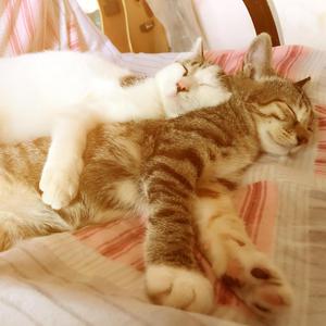 温忆楠 - 自己灌醉自己