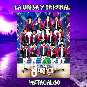 Petacalco