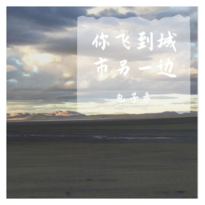 你飞到城市另一边