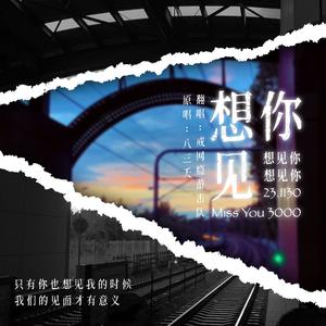 想见你想见你想见你