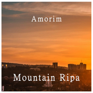 Mountain Ripa (Arold Mix)