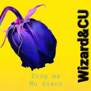 Wizard-Nu Disco (REWORK)v1