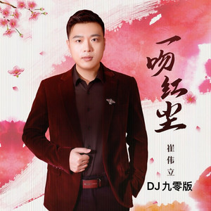 一吻红尘 (DJ九零版)