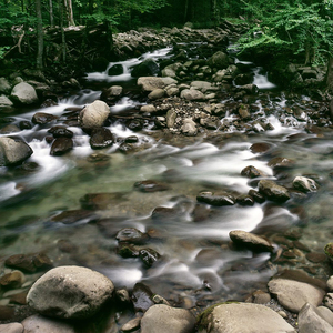 抖抖抖抖抖抖抖抖音可真好