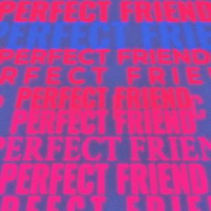 Perfect Friend