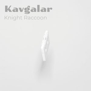 Kavgalar