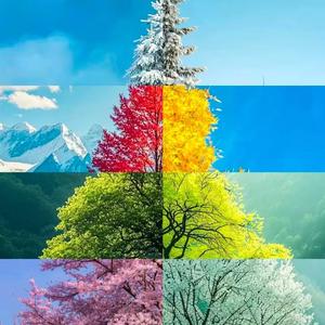 《褪色校徽里的青春旧梦》