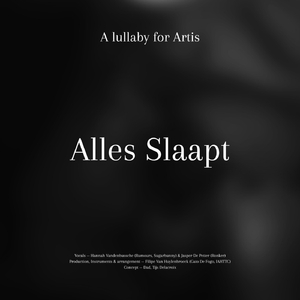 Alles Slaapt (feat. Jasper De Petter & Hannah Vandenbussche)