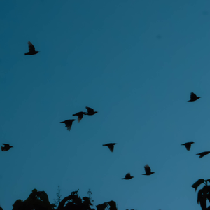 Hey,未来（prod.by Morrow x Jkei)