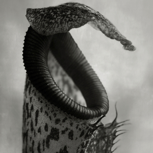 001.3 (Original Mix)