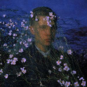 Sleep Beneath the Pollen