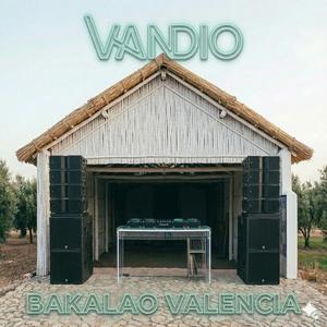 BAKALAO VALENCIA (DESTROY TECHNO )