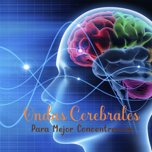 Incrementa La Imaginación