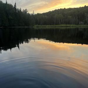 Caché d'une vie chamboulée