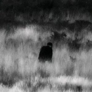haunt u (slowed)