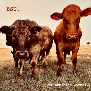Bst