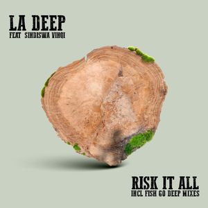 Risk It All (Fish Go Deep Remix)