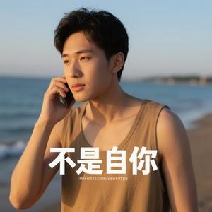 若不是因为你 (Cover 周华健)