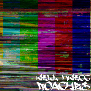 Roaches