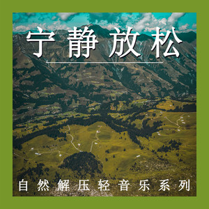 放松的自然节奏 (钢片琴)