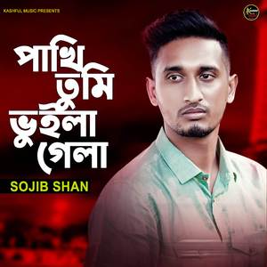 Pakhi Tumi Vuila Gela