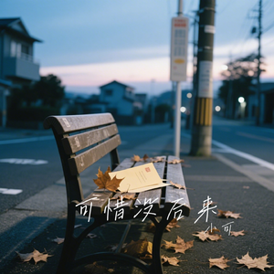 可惜没后来