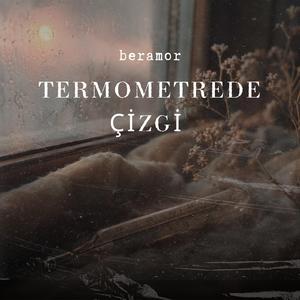 Termometrede Çizgi