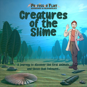 The Ediacaran Shuffle