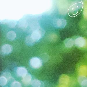 phlox (lonni mix)