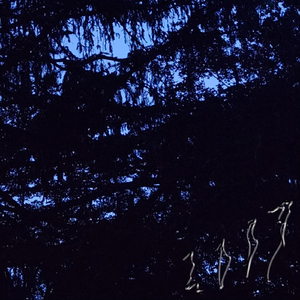 guns̸̨͈͓͈̪̰̜̮̺͑̌̈̈́̄̒̇͘͜ͅͅḩ̷̝͍̹̹̣͆̔̂̋̅̓̈́̆̿́͜͠ó̶̙͚̱̱̮̯̩̓̅̇̇̊̇͒́̇͛͆́͝͠ͅt̴̡̨̧̢̛̛͓̞͈͙̳̞̼̗̯̩͖̄͗͑͆̉̊̑͒̾̈s̶̳̘̙̹͖̓