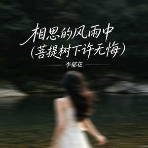 相思的风雨中（菩提树下许无悔）